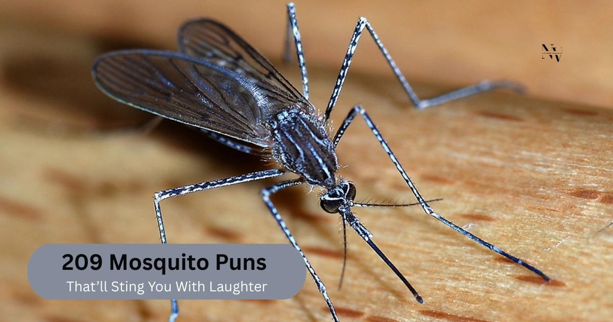 209 Mosquito Puns That’ll Sting You With Laughter