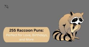 255 Raccoon Puns Perfect for Love, Birthdays, and More