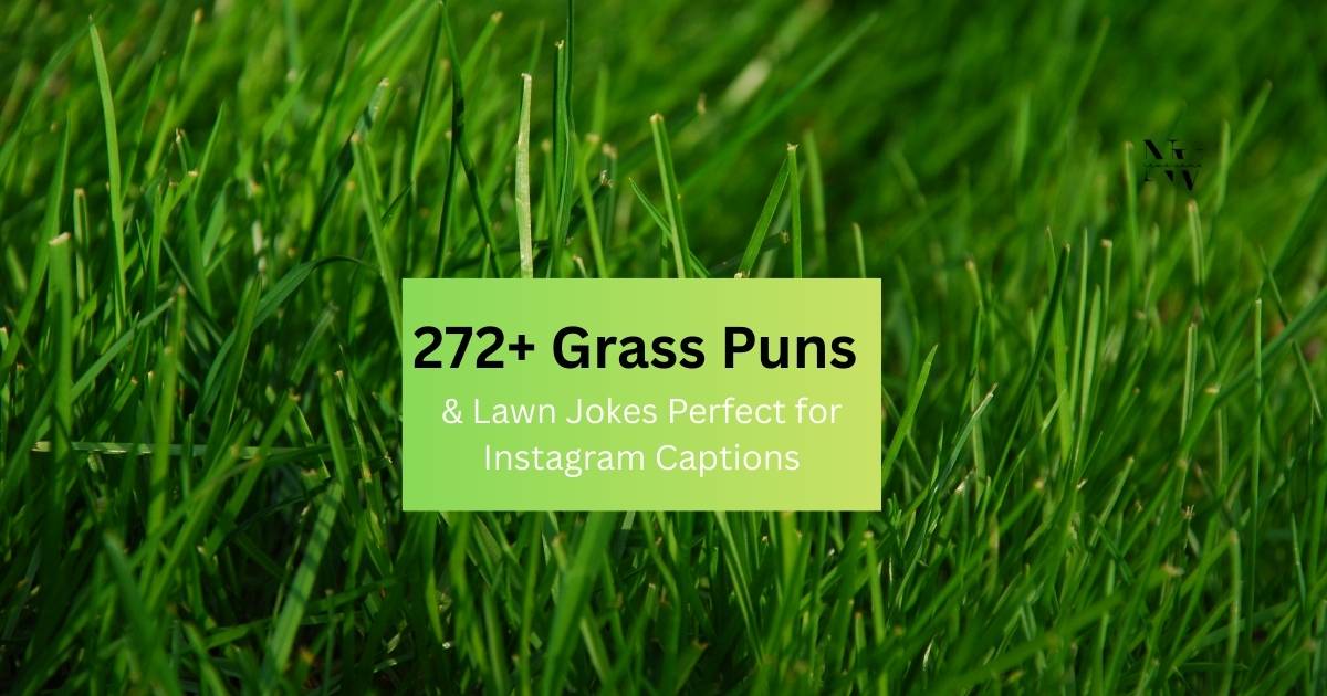 272+ Grass Puns & Lawn Jokes Perfect for Instagram Captions