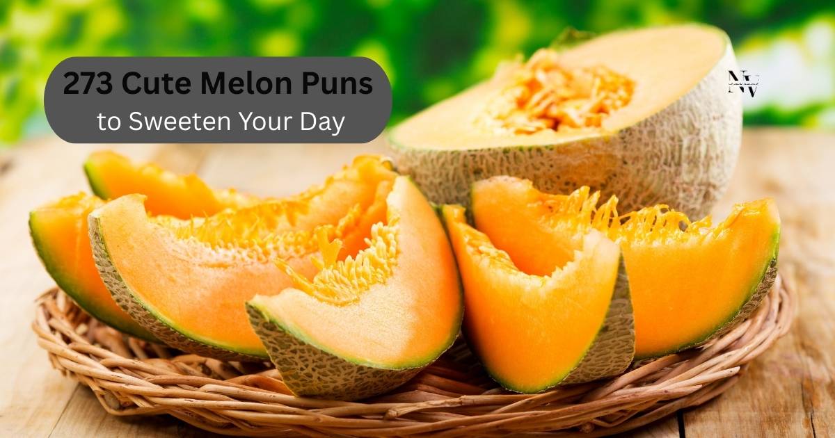273 Cute Melon Puns to Sweeten Your Day