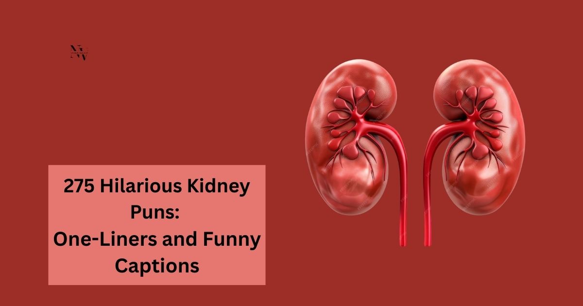 275 Hilarious Kidney Puns One-Liners and Funny Captions