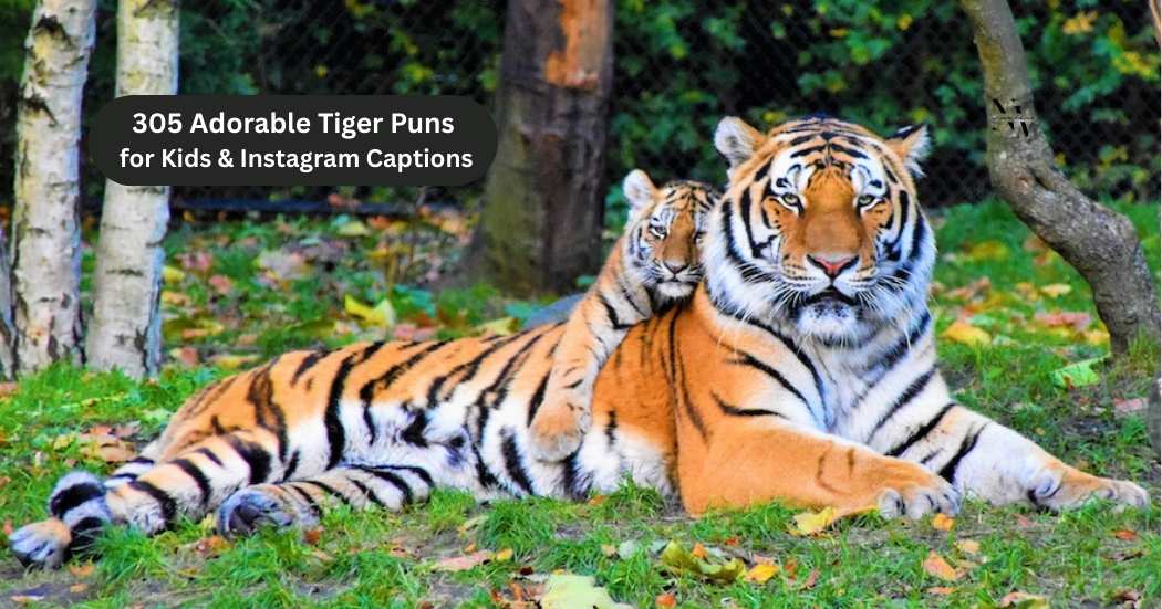 305 Adorable Tiger Puns for Kids & Instagram Captions