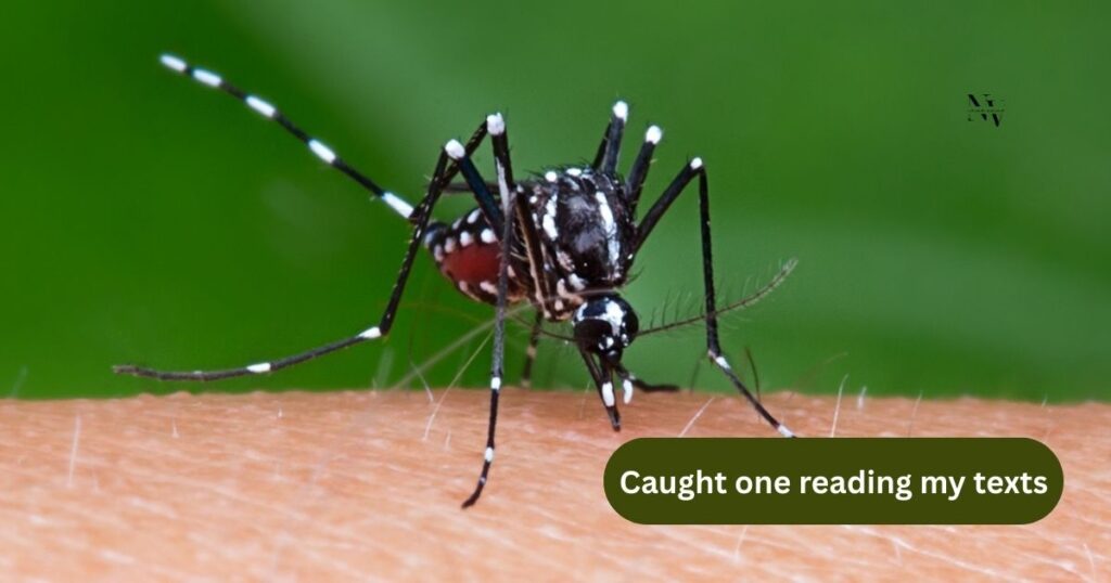 Absurd and Unexpected Mosquito Puns