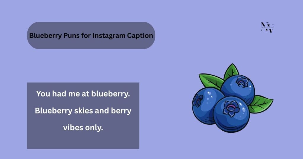 Blueberry Puns for Instagram Caption
