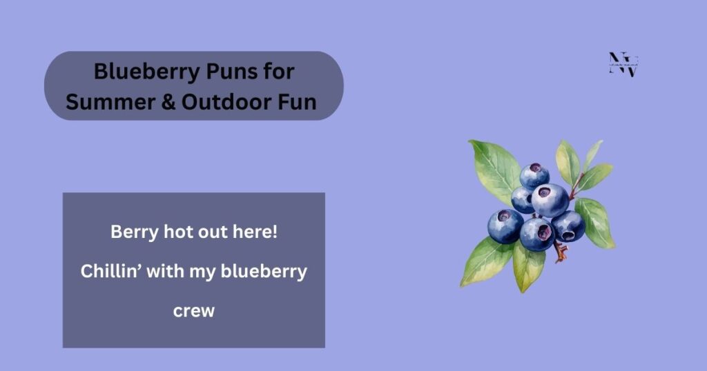 Blueberry Puns for Summer & Outdoor Fun