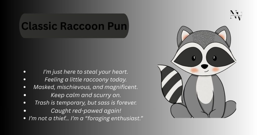 Classic Raccoon Pun