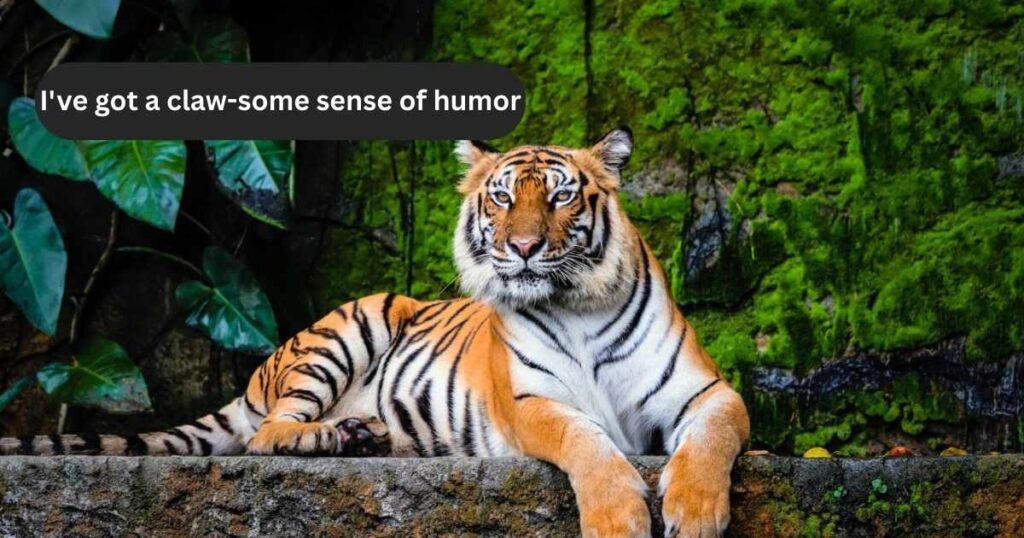 Claw-ver Wordplay with Tigers