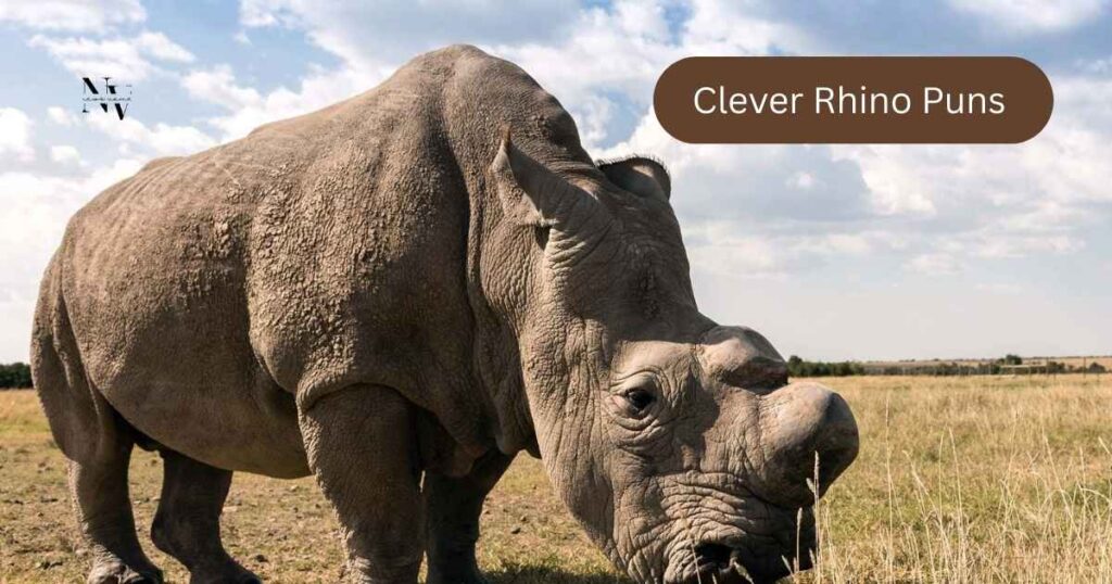 Clever Rhino Puns