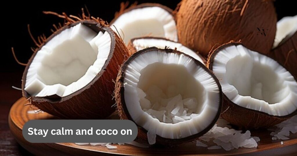 Coconut Puns, One-Liners & Jokes