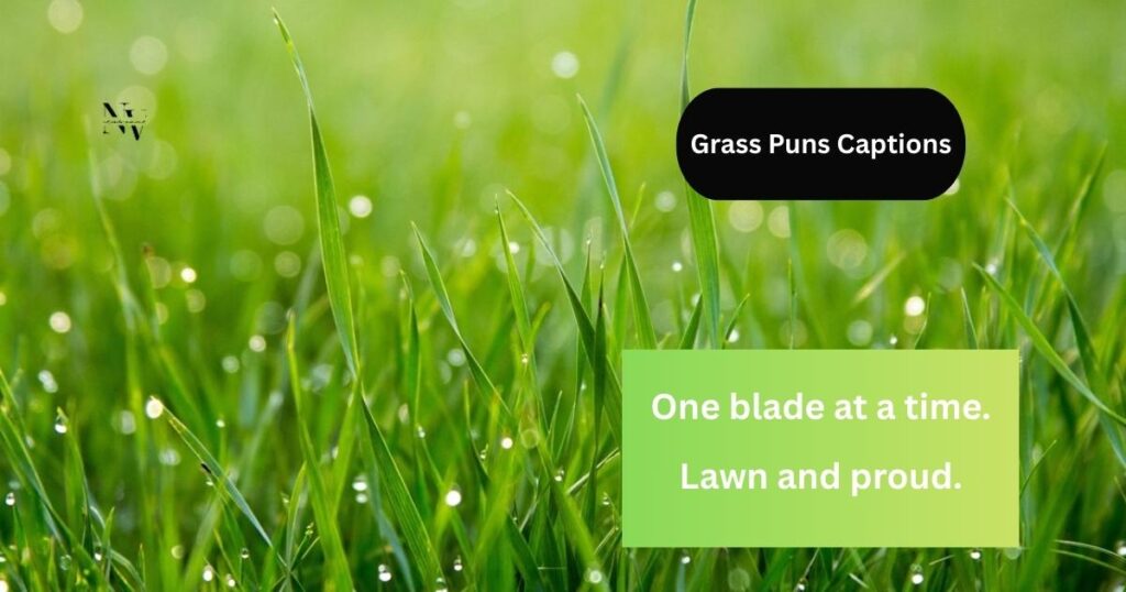 Grass Puns Captions