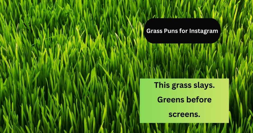 Grass Puns for Instagram