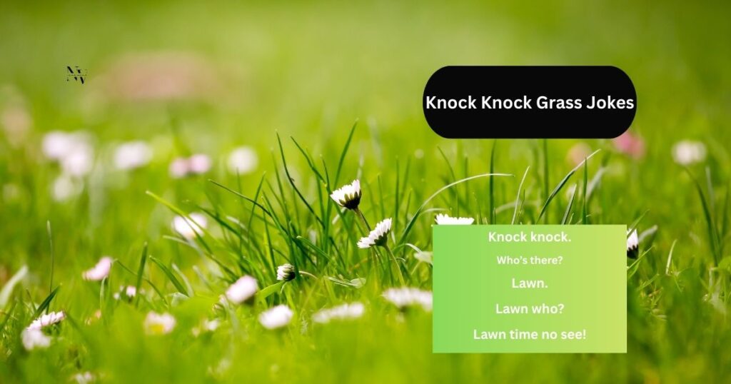 Knock Knock Grass Jokes