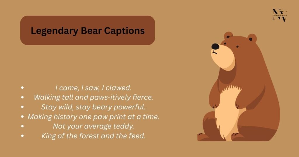 Legendary Bear Captions