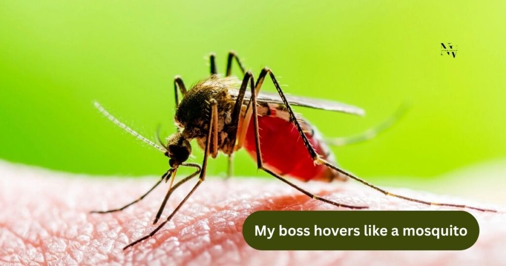 Mosquito Puns That Bite in the Workplace