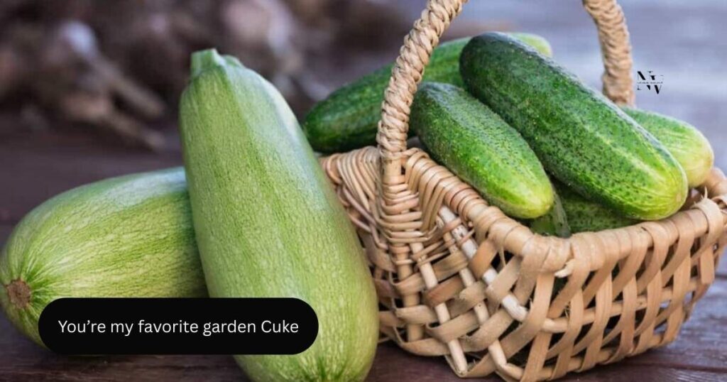 Name-Based Cucumber Wordplay to Keep Things Fresh