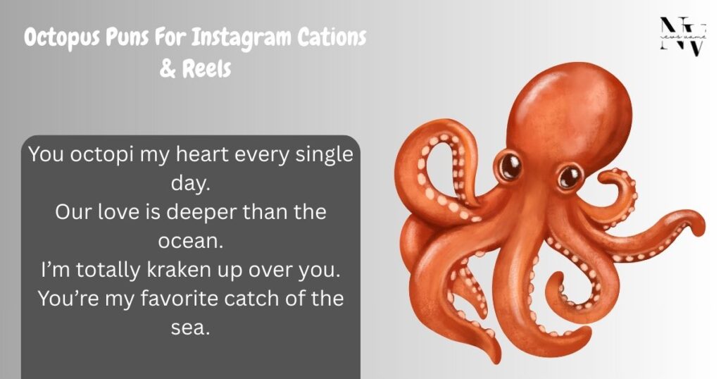 Octopus Puns For Instagram Cations & Reels Notes