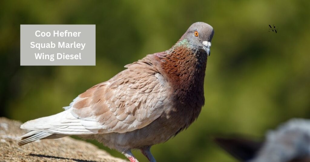 Pigeon Pun Names