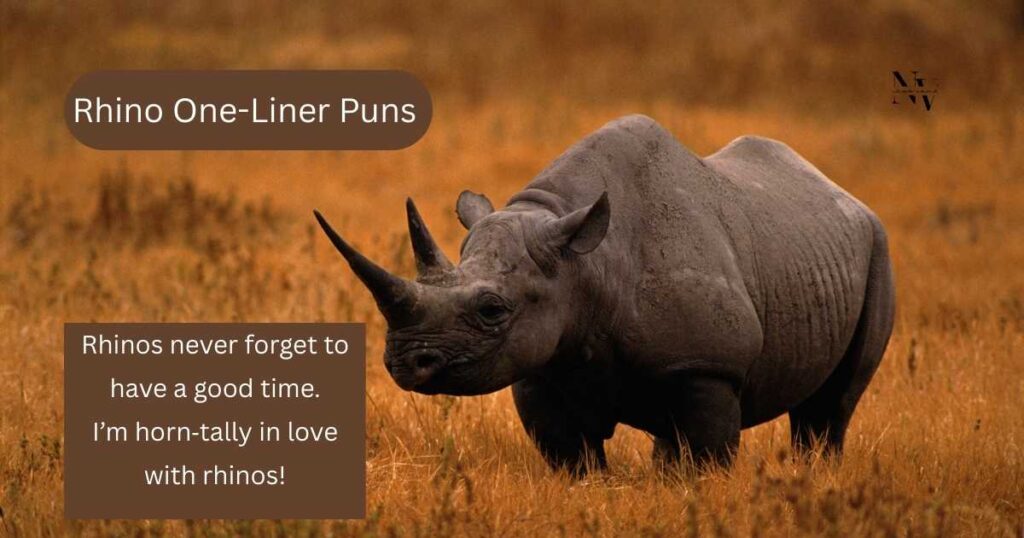 Rhino One-Liner Puns