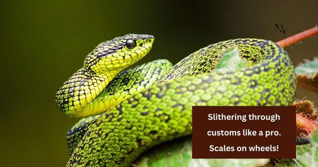 Snakes on the Move Travel-Inspired Snake Puns