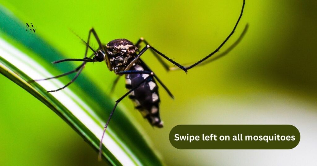 Social Media Captions That’ll Get Under Your Skin