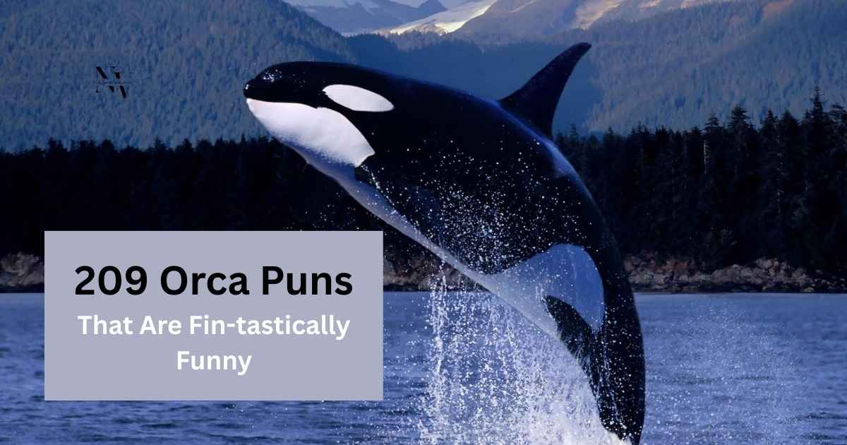orca puns