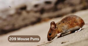 209 Mouse Puns