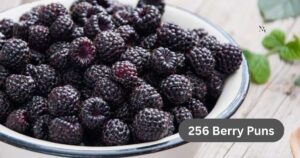 256 Berry Puns