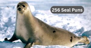 256 Seal Puns