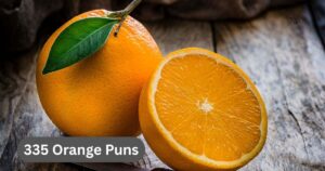 335 Orange Puns