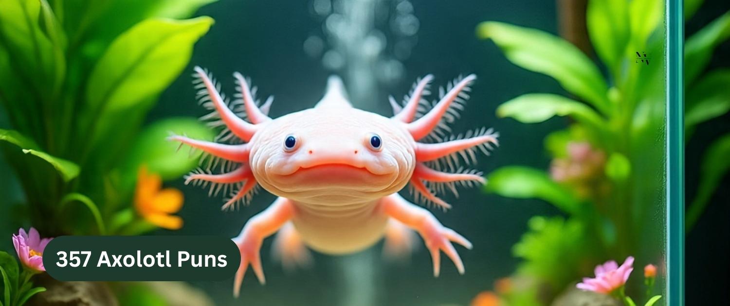 357 Axolotl Puns
