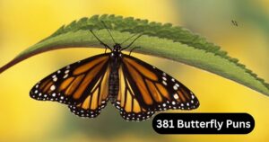381 Butterfly Puns