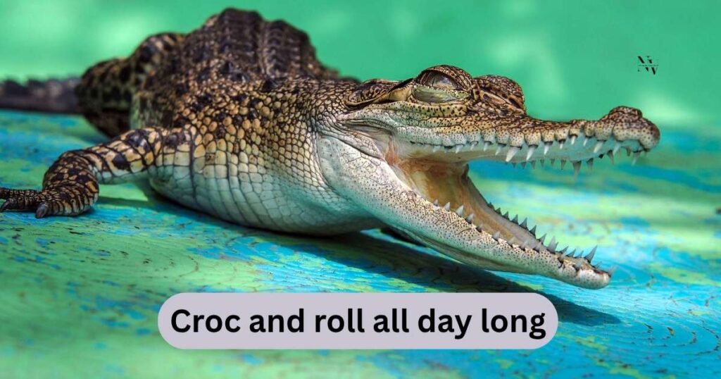 Alligator Puns
