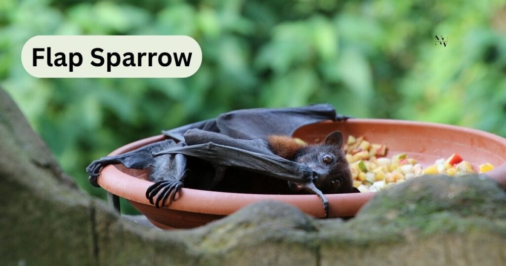 Bat Pun Names