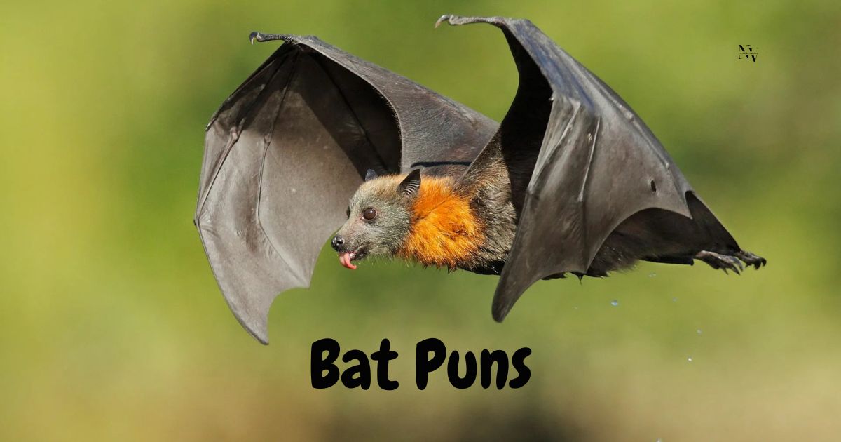 Bat Puns
