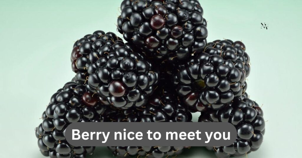 Berry Jokes, One-Liners & Kids’ Puns