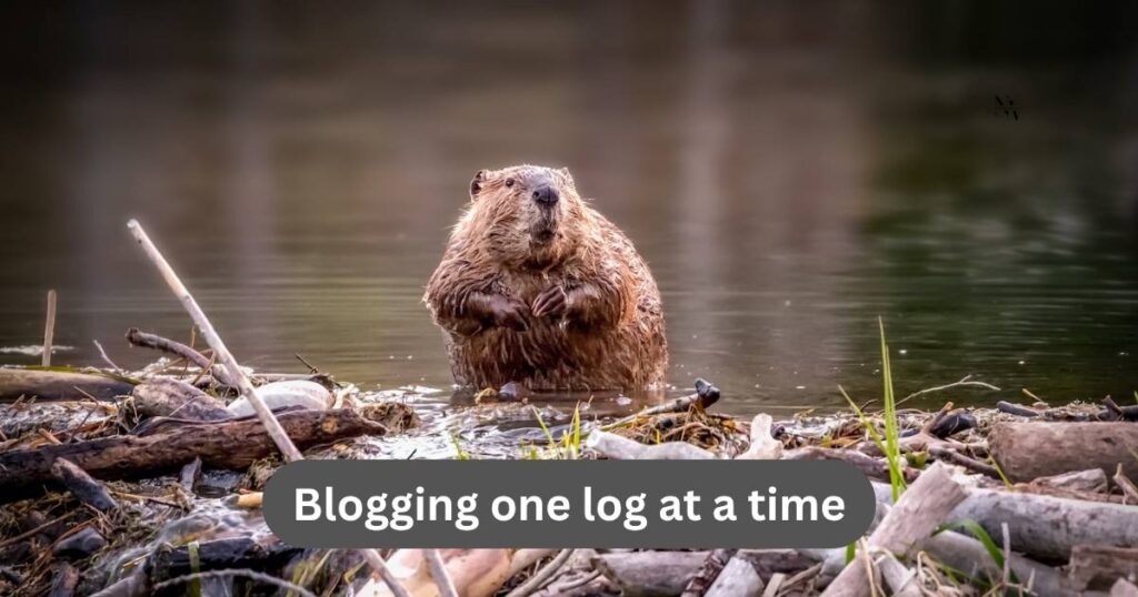 Clever Beaver Puns for Teachers, Bloggers & Merch Creators