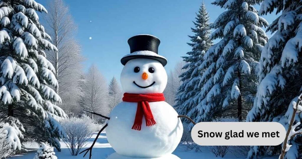 Cute Snowman Puns