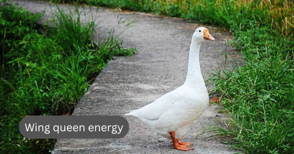 Feathered Fun Extra Goose Puns to Top Off Your Flock