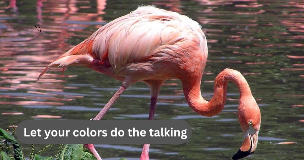 Flamingo Jokes for Adults