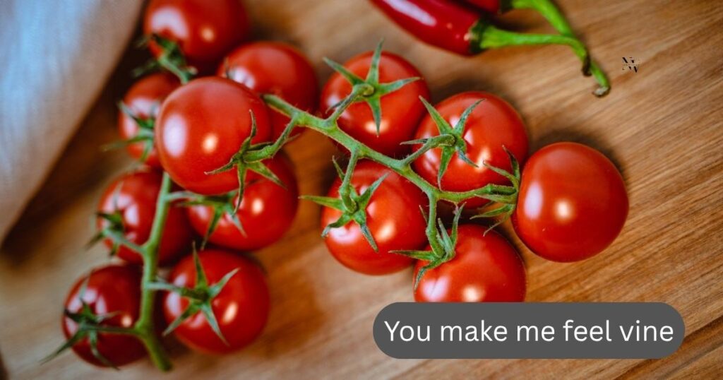 Flirty & Romantic Tomato Puns for Love Notes and Crush DMs