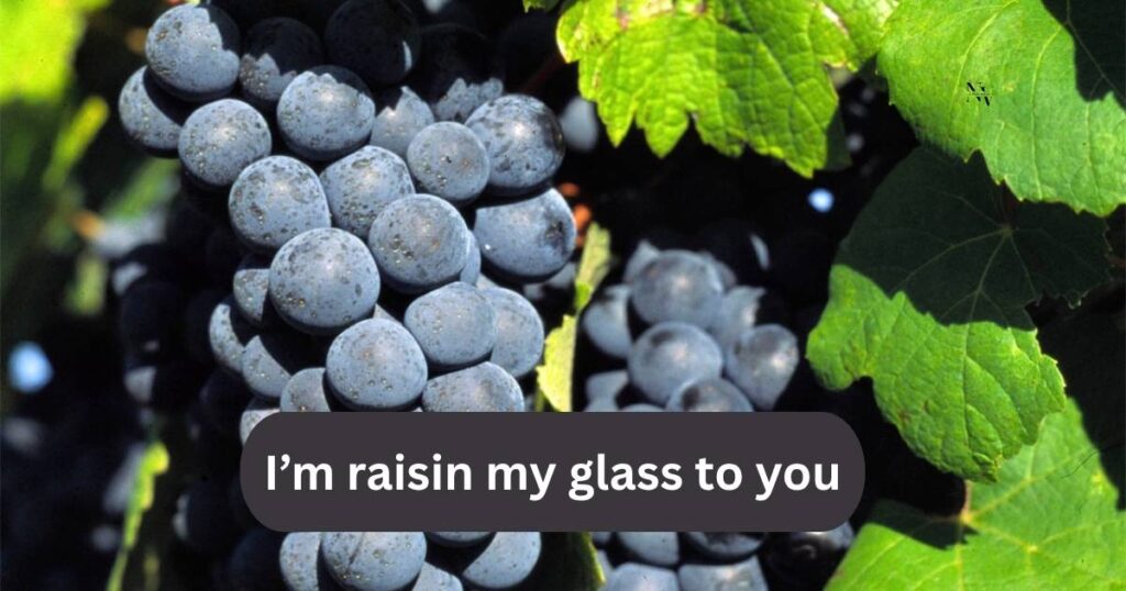 Funny Grape Puns