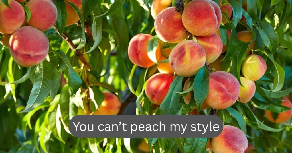 funny peach puns