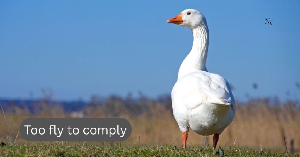 Goose Puns