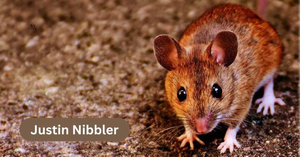 Name-Based Puns That’ll Make You Squeak Out Loud