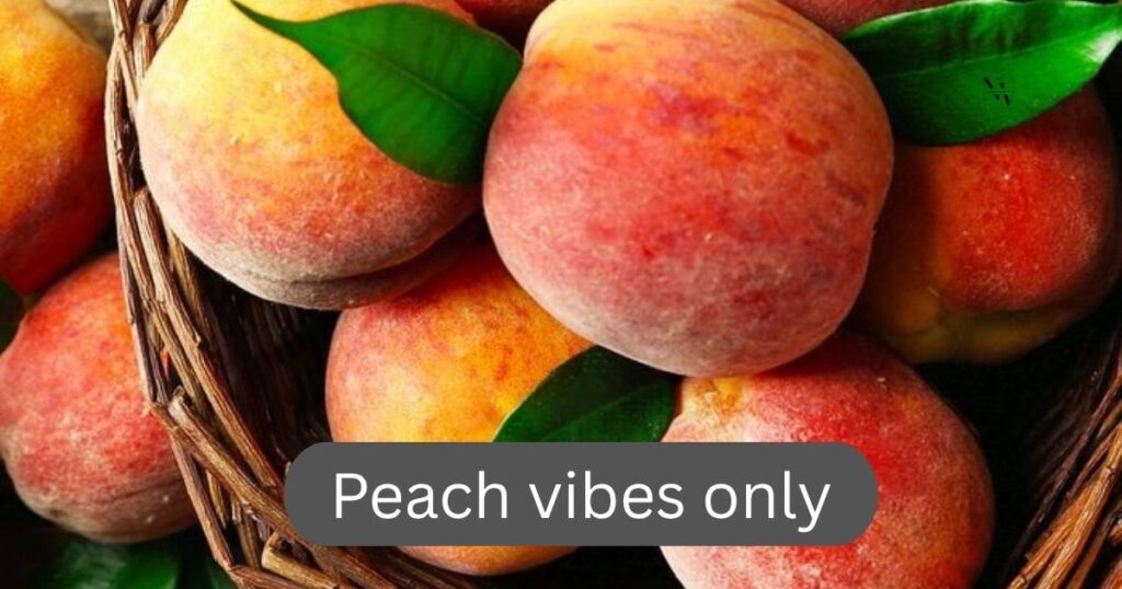 Peach Puns for Instagram Captions & Social Media