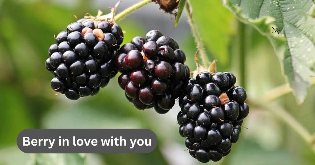 Romantic & Flirty Berry Puns for Love Notes and DMs