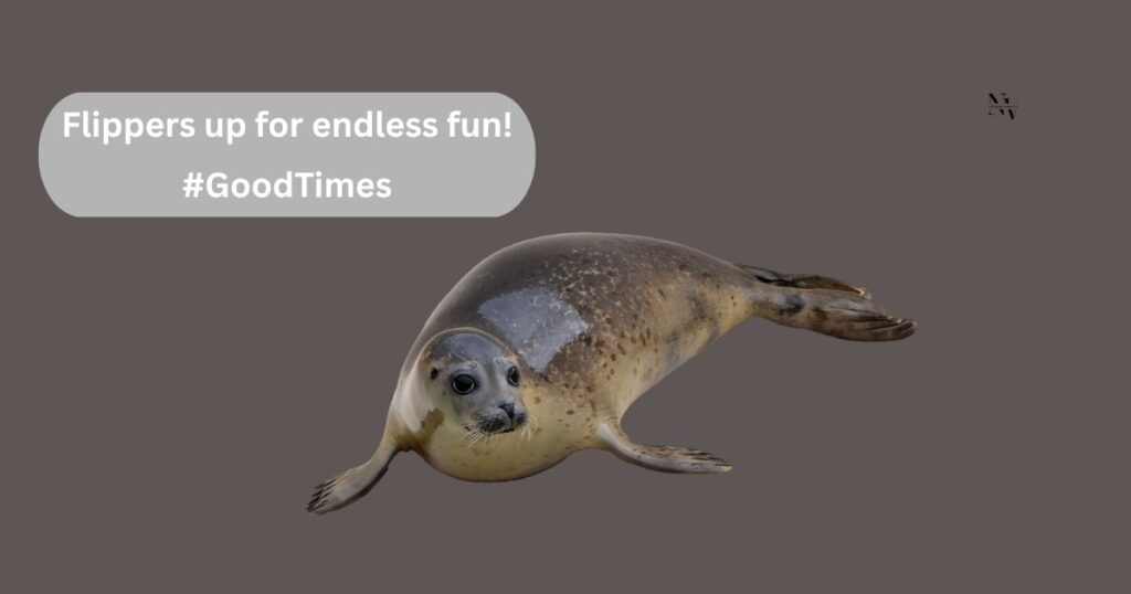 Seal Puns for Instagram