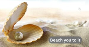 Shell Puns