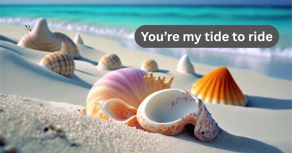 Shell Puns About Love