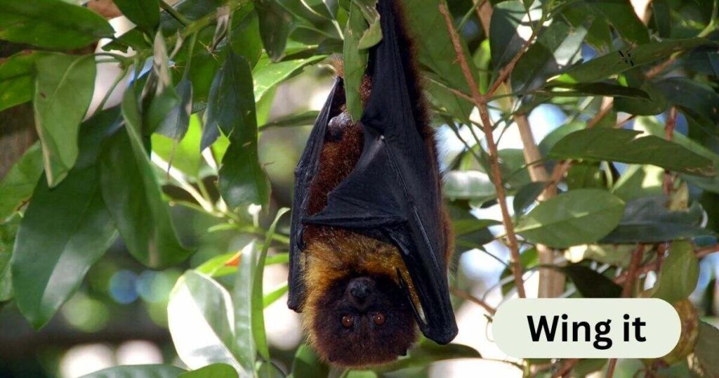Short Bat Puns
